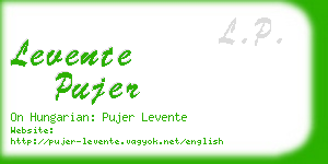 levente pujer business card